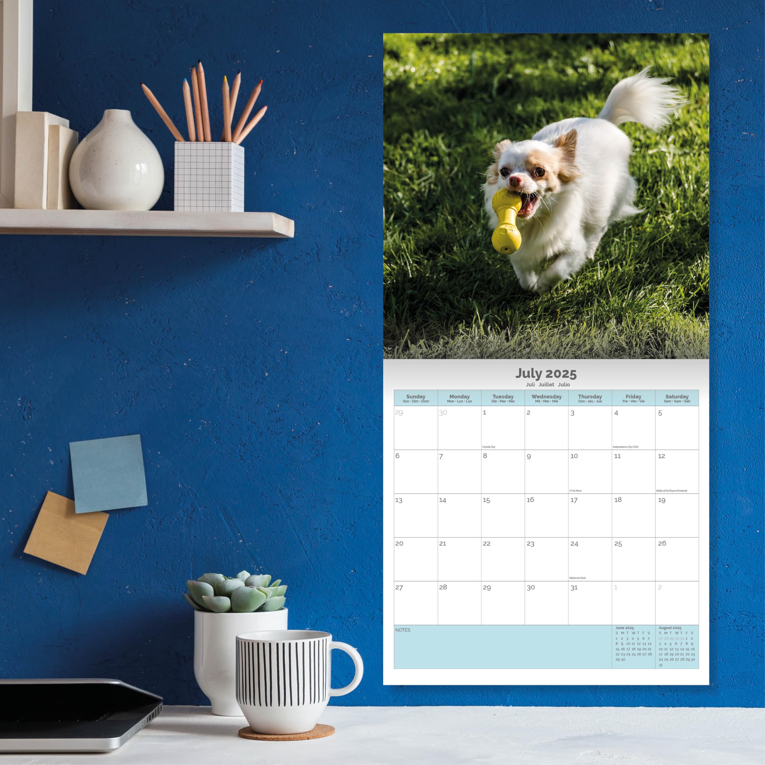 Baker and Bray Chihuahua Calendar 2026, Large Square Wall Calendar With Organisational Stickers, 16 Month, Chihuahua Gift Dog Calendar - Image 4