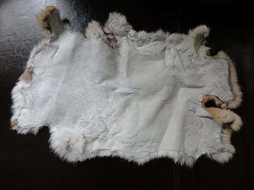 Miniatura 2 de Piel de conejo