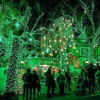 Vista 4 de TW SHINE Luces de Navidad verdes, 200 luces LED de Navidad para exteriores de 66 pies enchufables con 8 modos, cable verde impermeable, luz del día