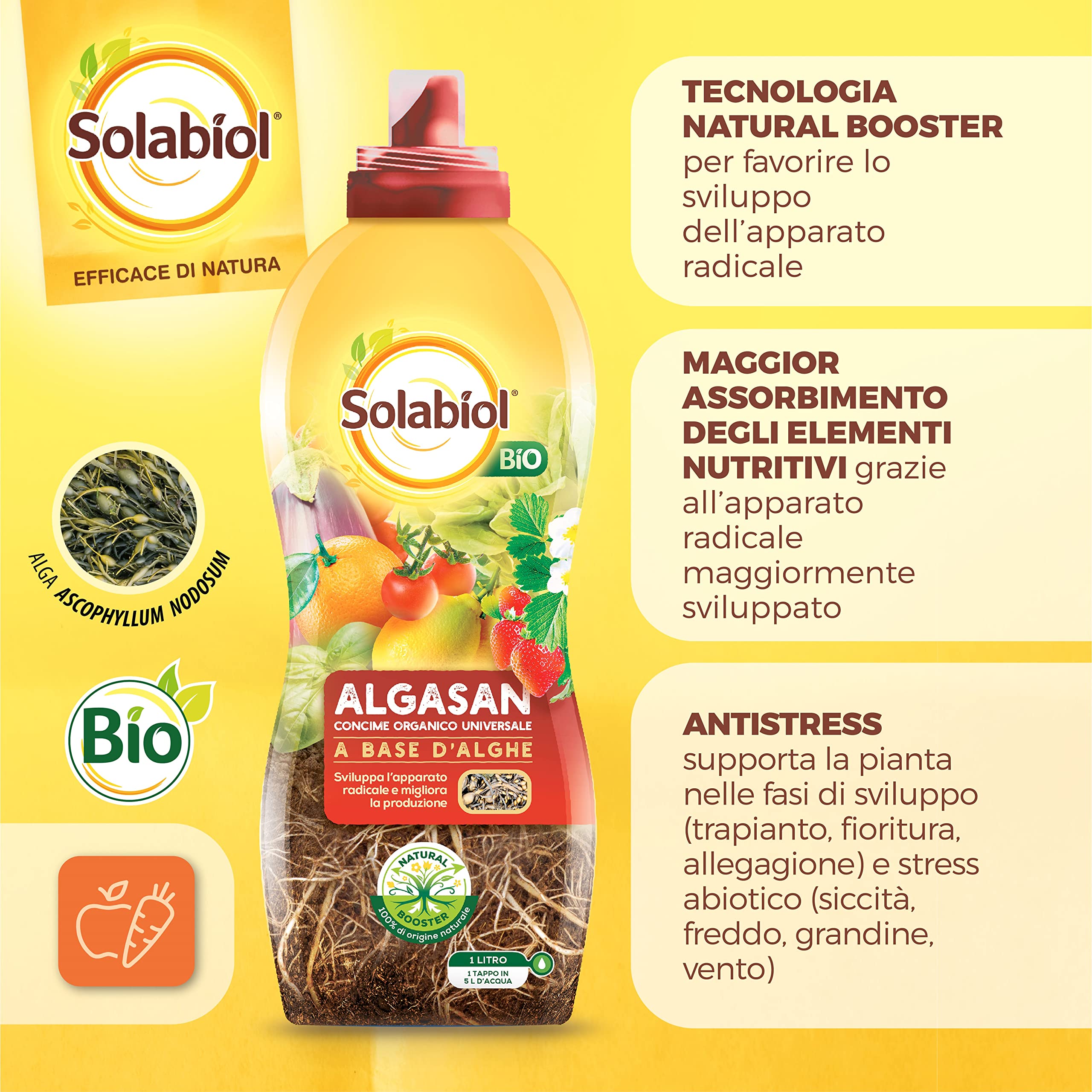 Solabiol Algasan, Concime Liquido Biologico Universale a Base di Alghe Brune con Tecnologia Natural Booster, 1L (Confezione da 3)