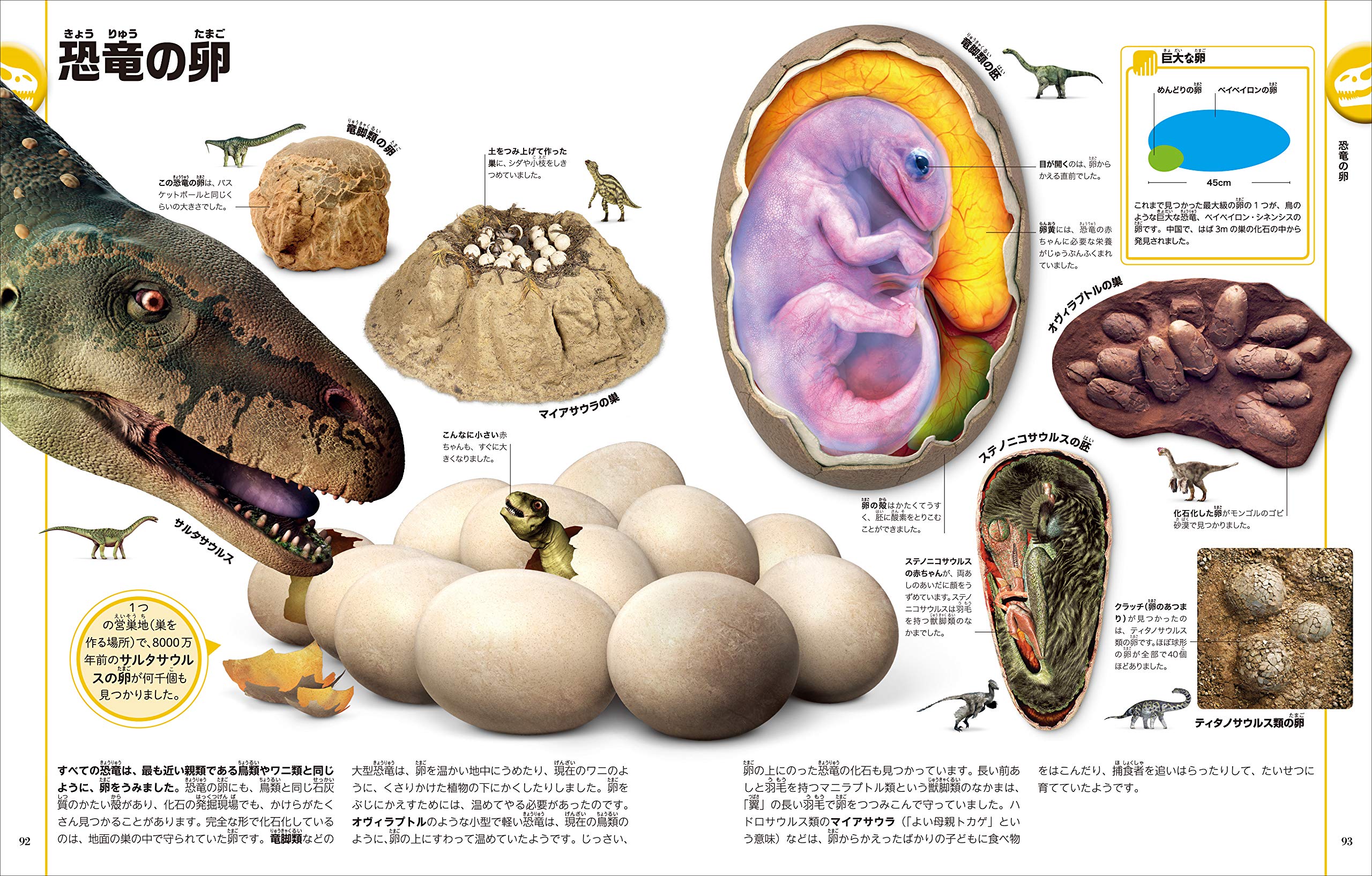 恐竜と古代の生き物図鑑 ジョン ウッドワード ダレン ナイシュ 田中 康平 田中 康平 喜多 直子 配送料無料