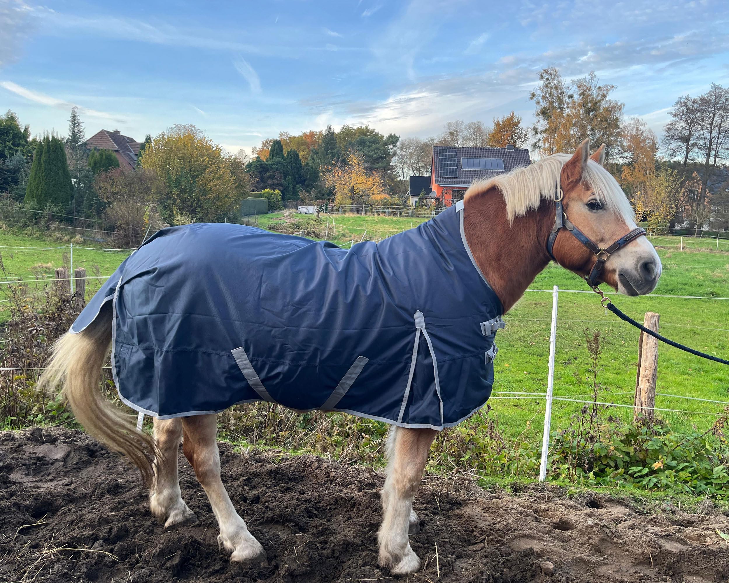 Brama-West Winterdecke Pferd Nell | Outdoordecke mit Highneck |1680D - 50g Füllung | Pferdedecke reisfest, wasserdicht und atmungsaktiv | Blau (135)