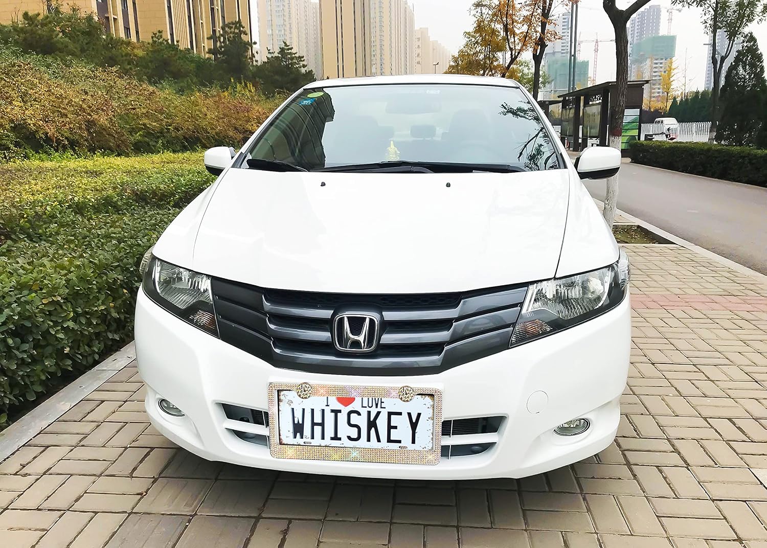 Carfond Bling License Plates 7 Row Handcrafted 1000+ pcs 14 Facets SS20 Premium Glass Crystal Diamond Stainless Steel License Plate Frame with Matching Screws Caps (Colorful)