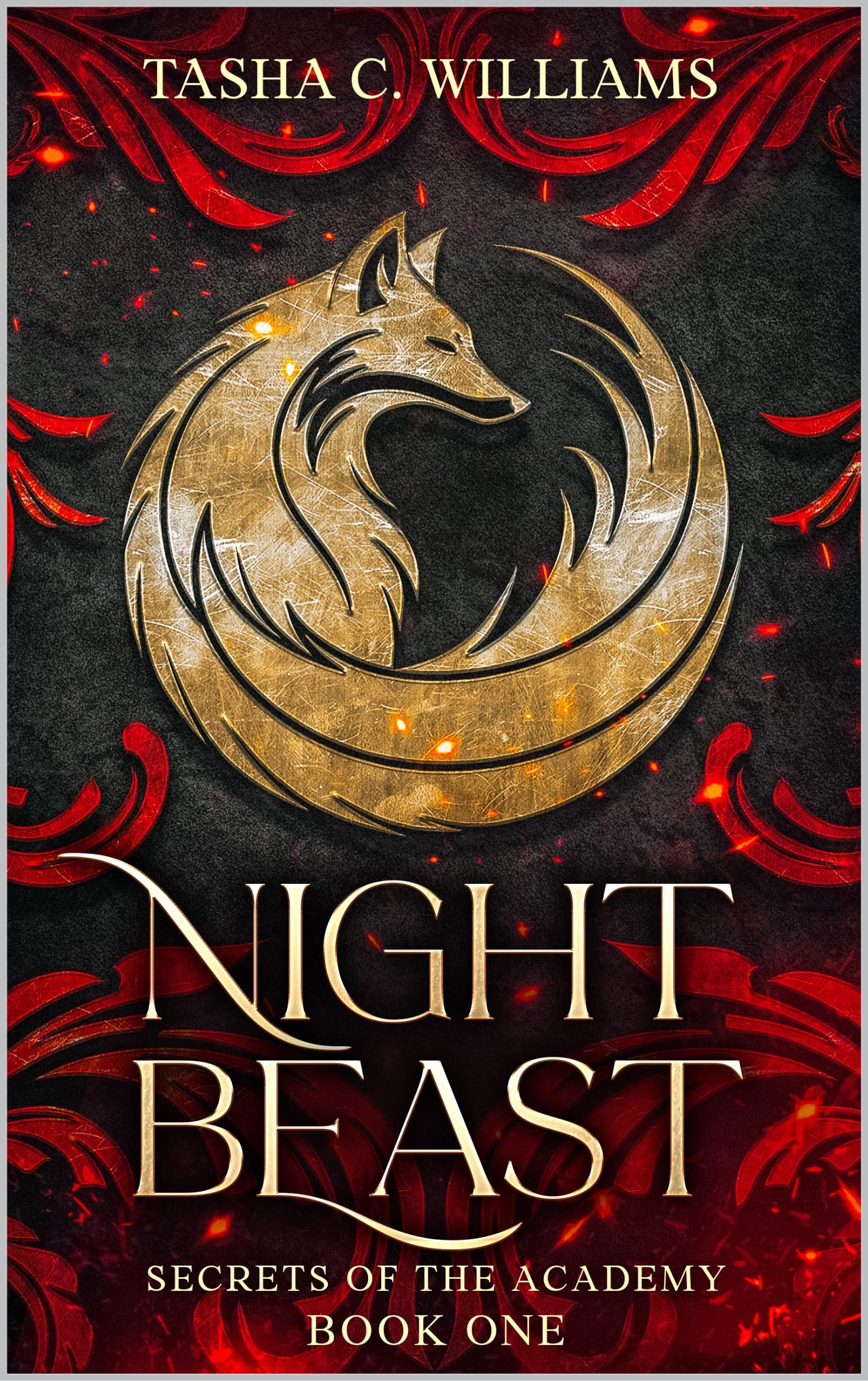 Night Beast: A YA Paranormal Academy Series (Secrets of the Academy Book 1)