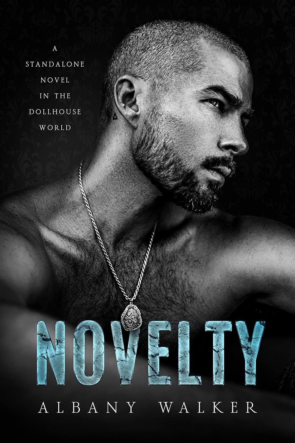 Novelty A Stalker Romance (A Dollhouse Novel Standalone