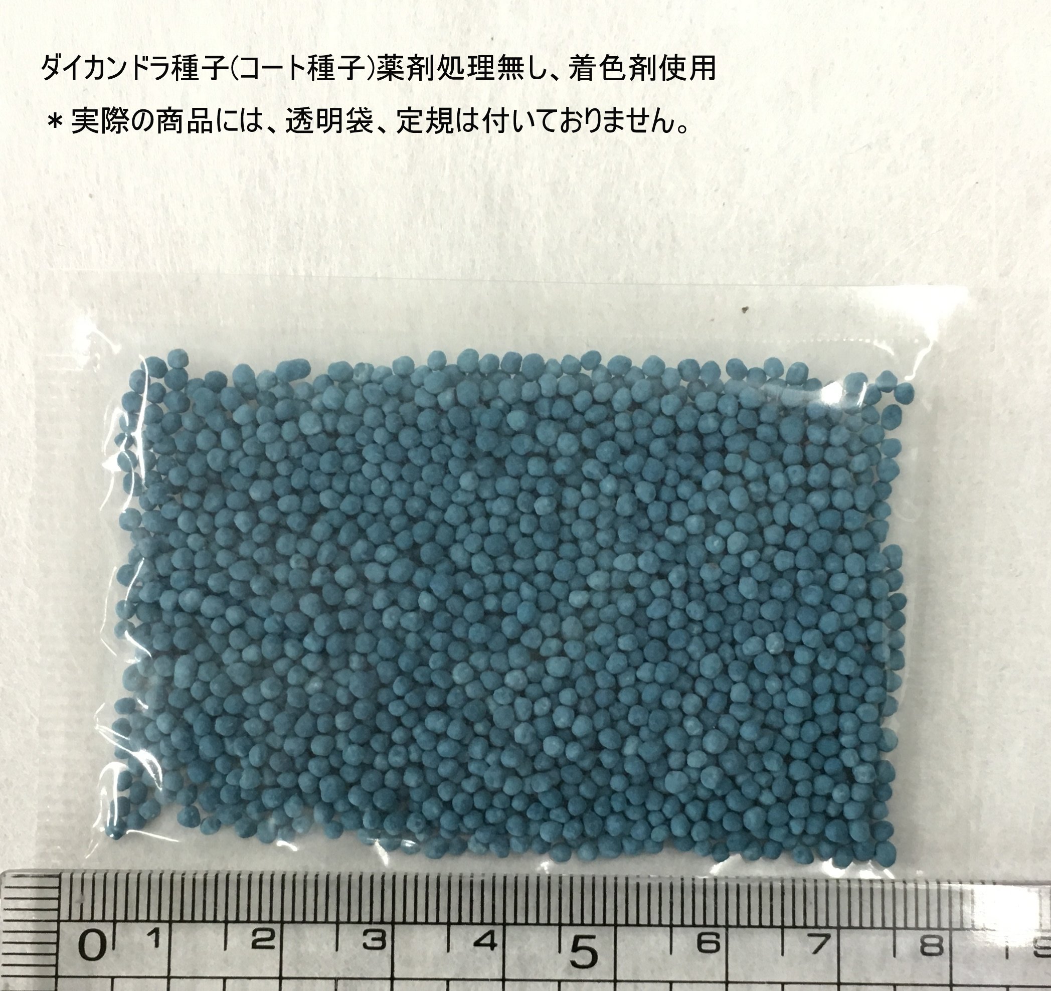 Amazon | 福花園種苗 ダイカンドラ種子(コート種子)100mL詰 (グランド