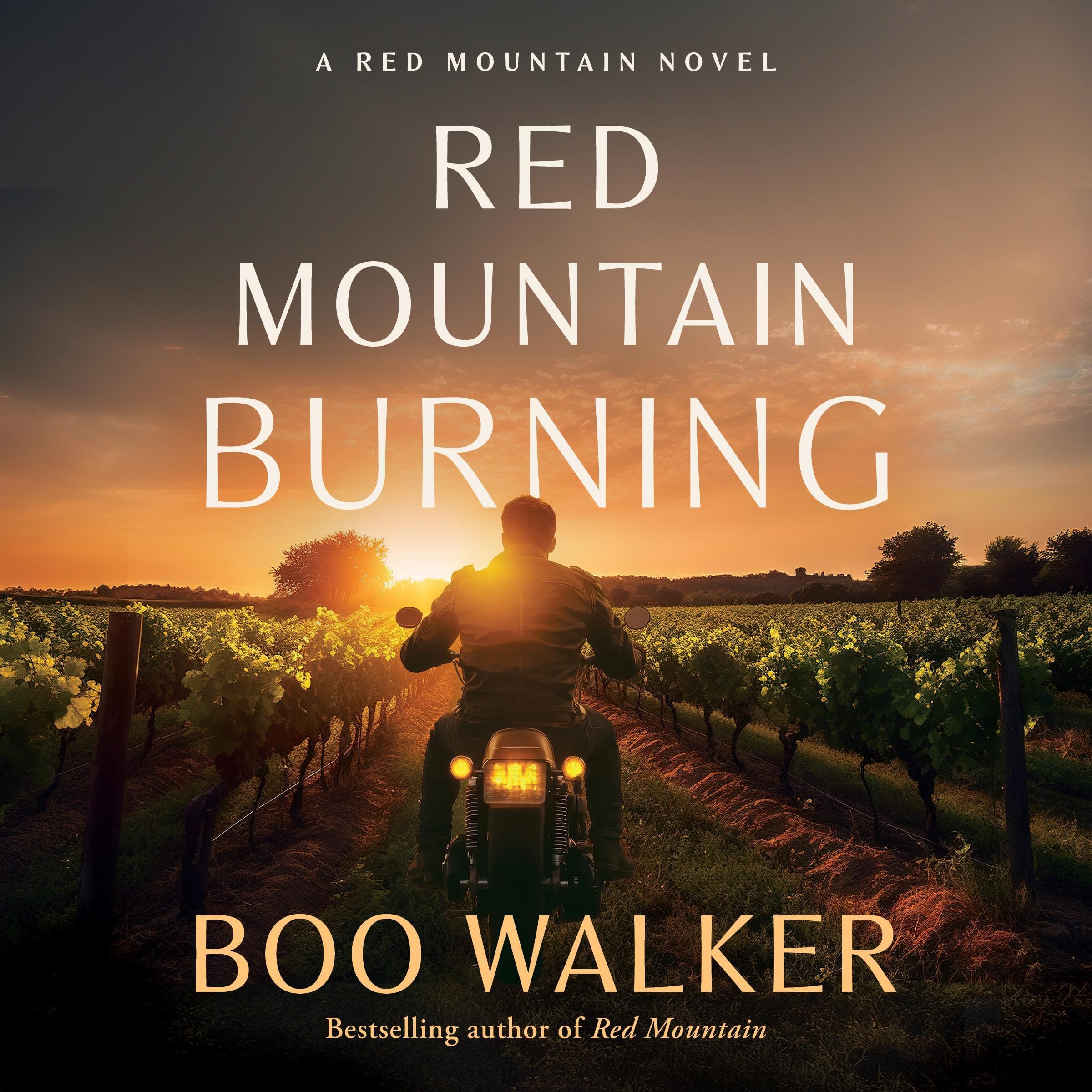 Red Mountain Burning: A Novel