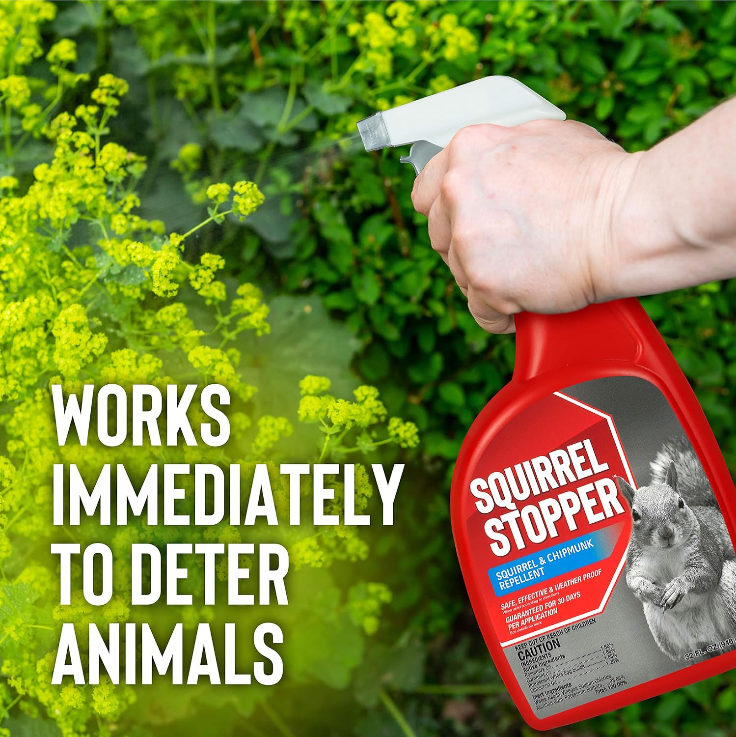 Squirrel Stopper Repellent Spray - Chipmunk & Squirrel Deterrent for Bird Feeders, Garden & Homes - Weather-Resistant Formula - Scent, Taste & Touch Barrier - Safe Around Kids & Pets - 1 Gallon - Image 4