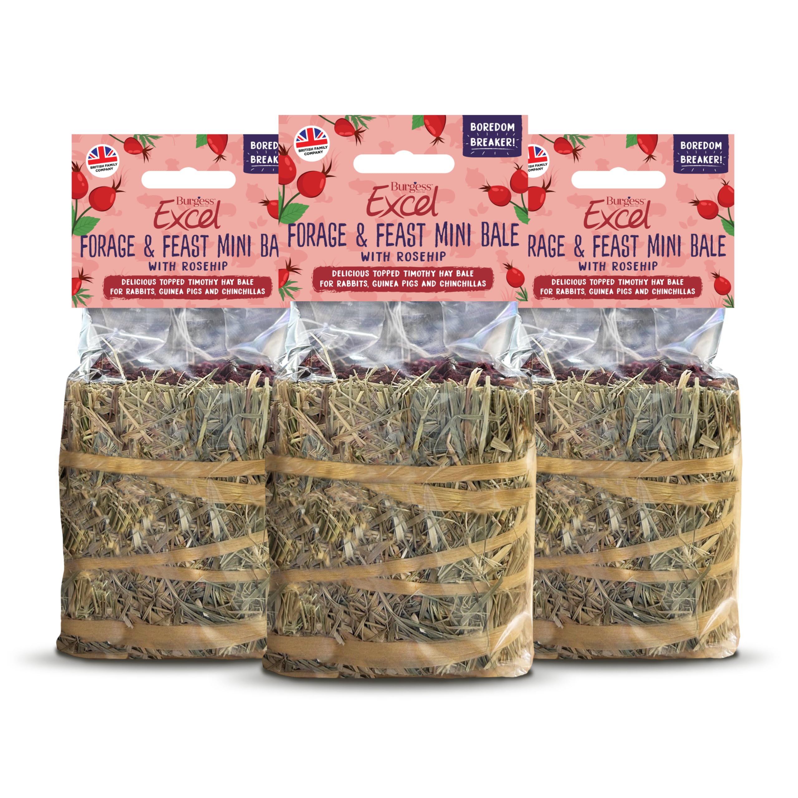 Burgess Excel Forage & Feast Mini Bale with Rosehip, 300g – Mini Hay Bale Treat for Rabbits & Guinea Pigs – Natural Snack Topped with Rosehip (Pack of 3)