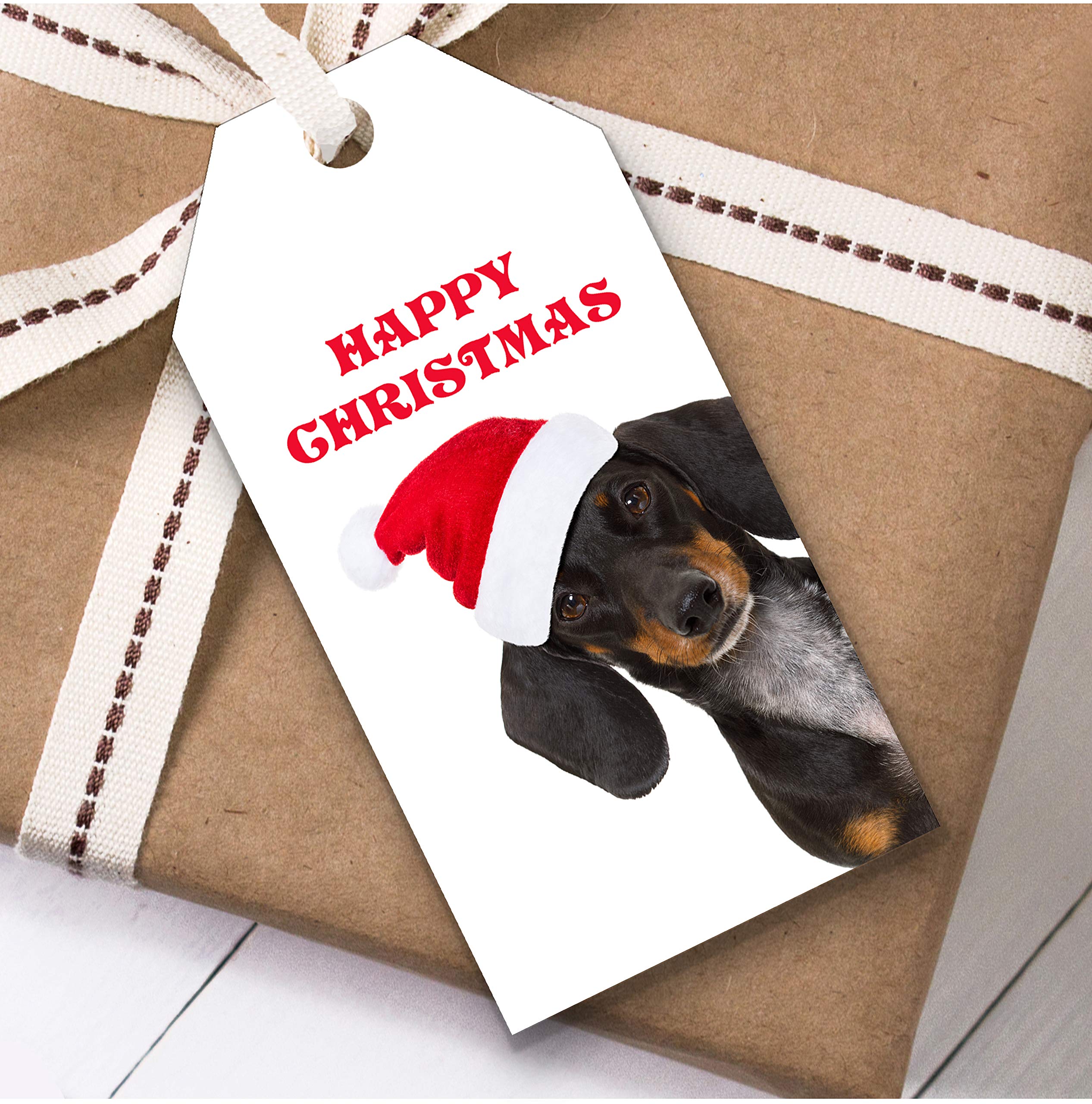 Dachshund christmas presents Clearance