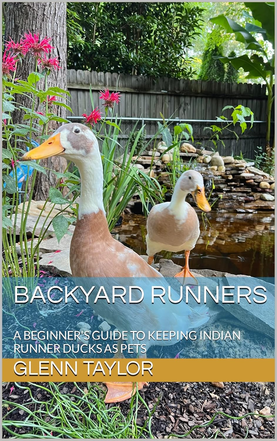 Backyard Runners A Beginner's Guide to Keeping Indian Runner Ducks as