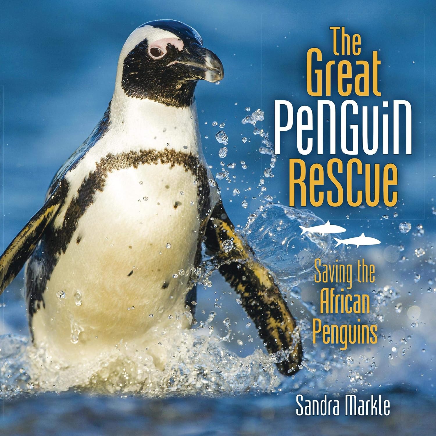 The Great Penguin Rescue: Saving the African Penguins (Sandra Markle's Science Discoveries)