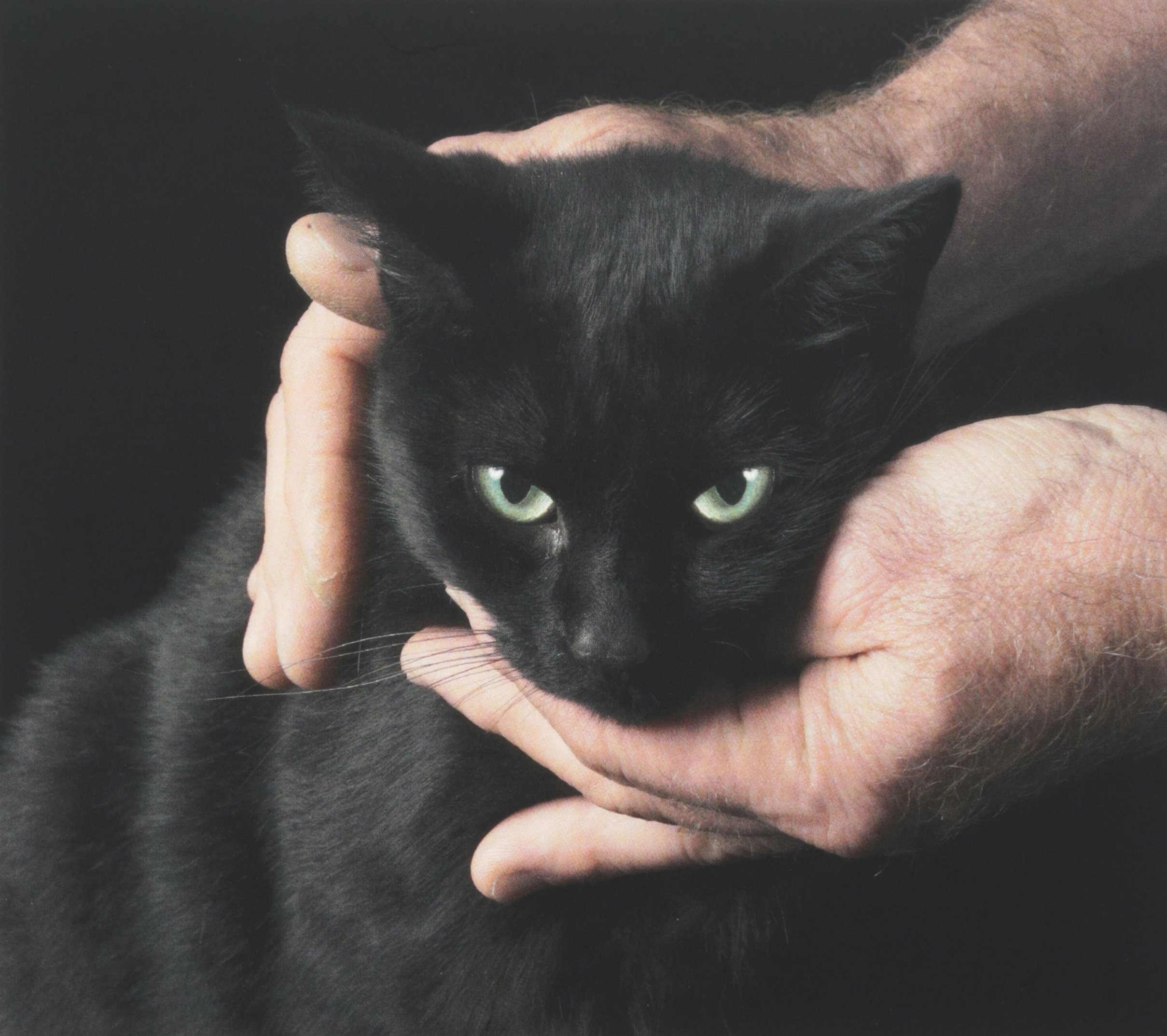 White Death & Black Heart [Audio CD] Kernel, Peter