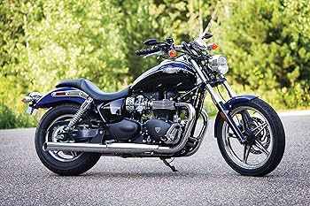 RK-4599 RK-4244　ノラネコ Amazon.com: Kuryakyn 7613 Motorcycle Accessory: Kinetic Mini