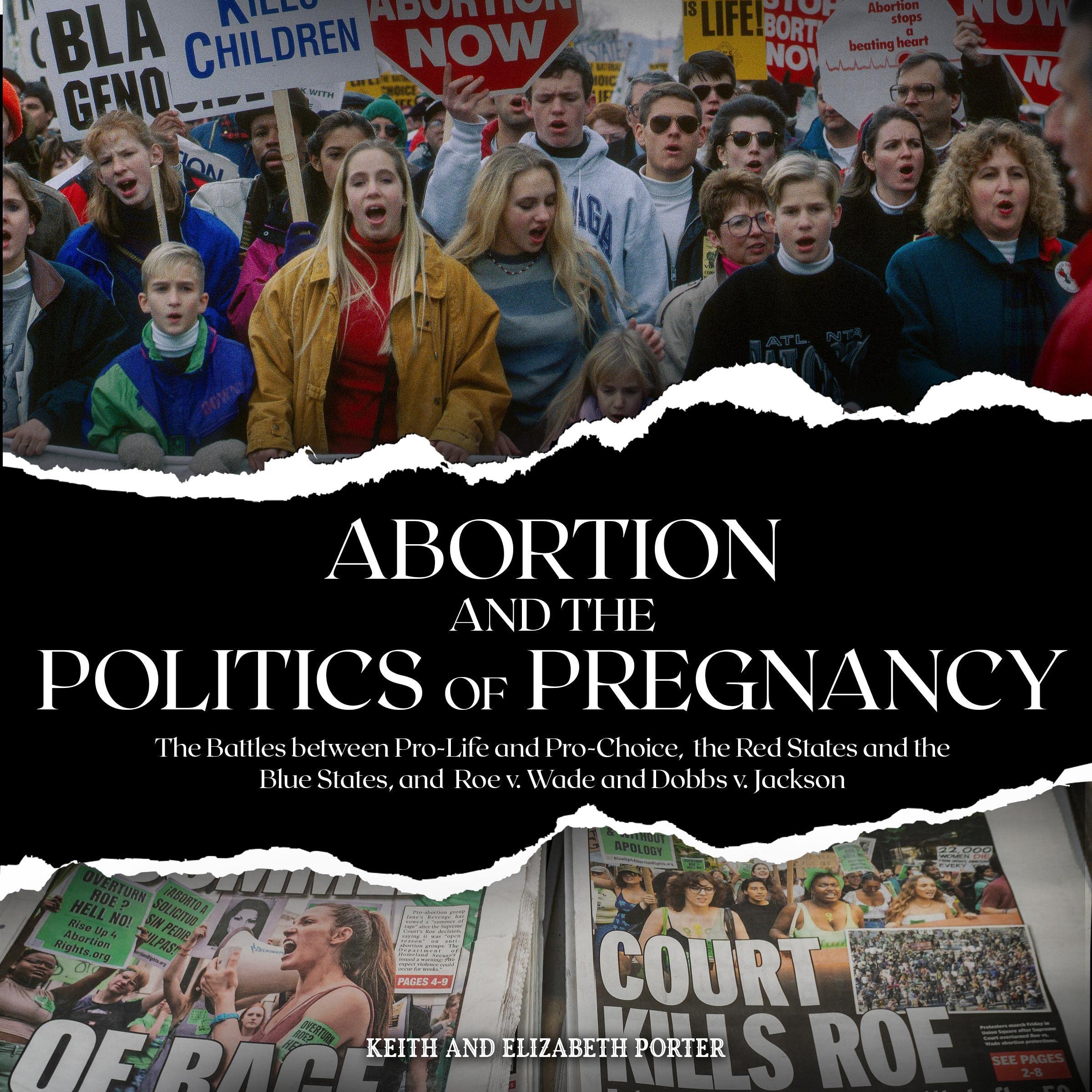 Abortion and the Politics of Pregnancy