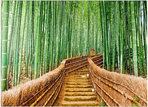 Kyoto Japan in Bamboo Forest - Rompecabezas prémium de 1000 piezas para adultos