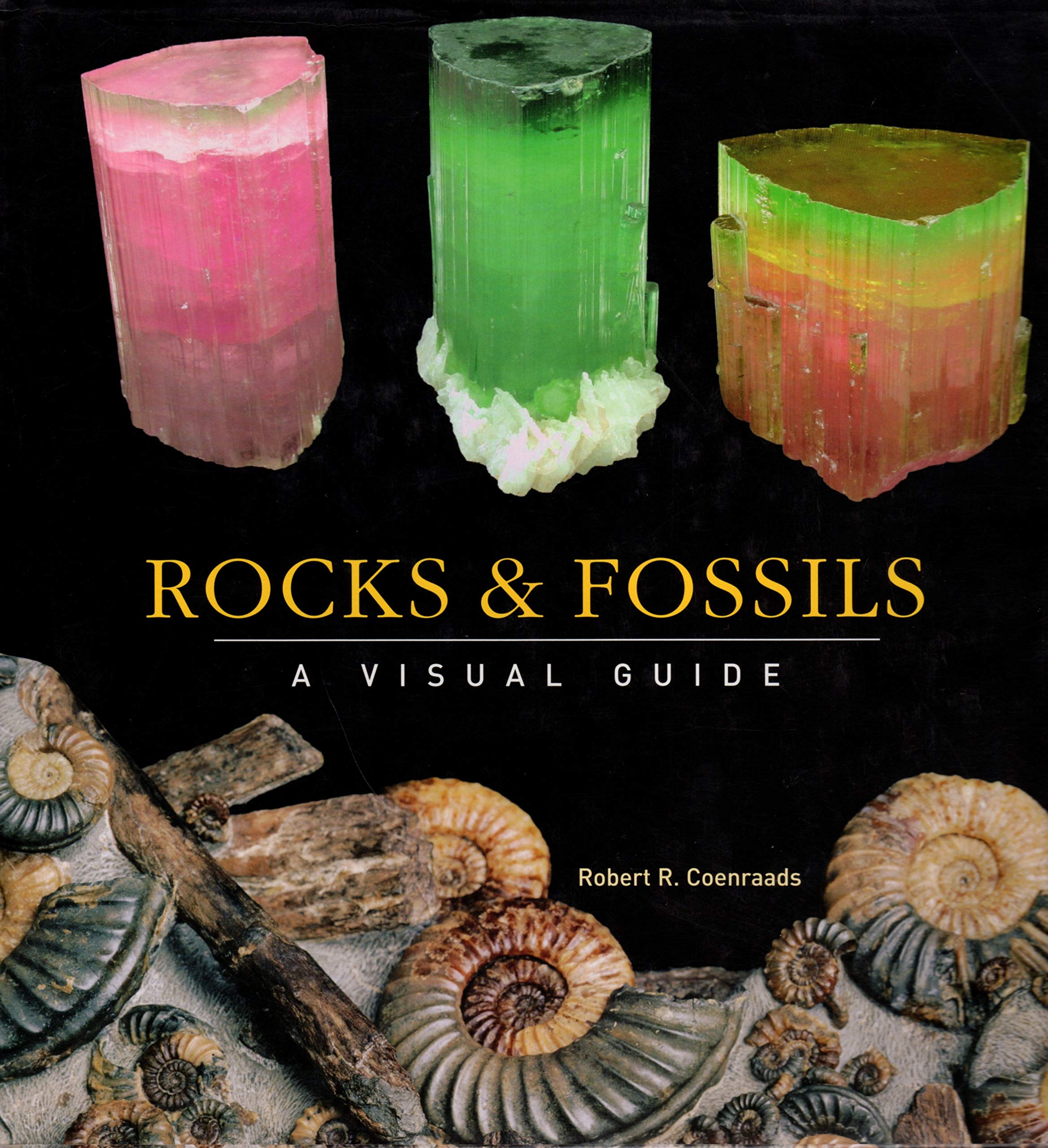 Rocks and Fossils: A Visual Guide (Visual Guides)