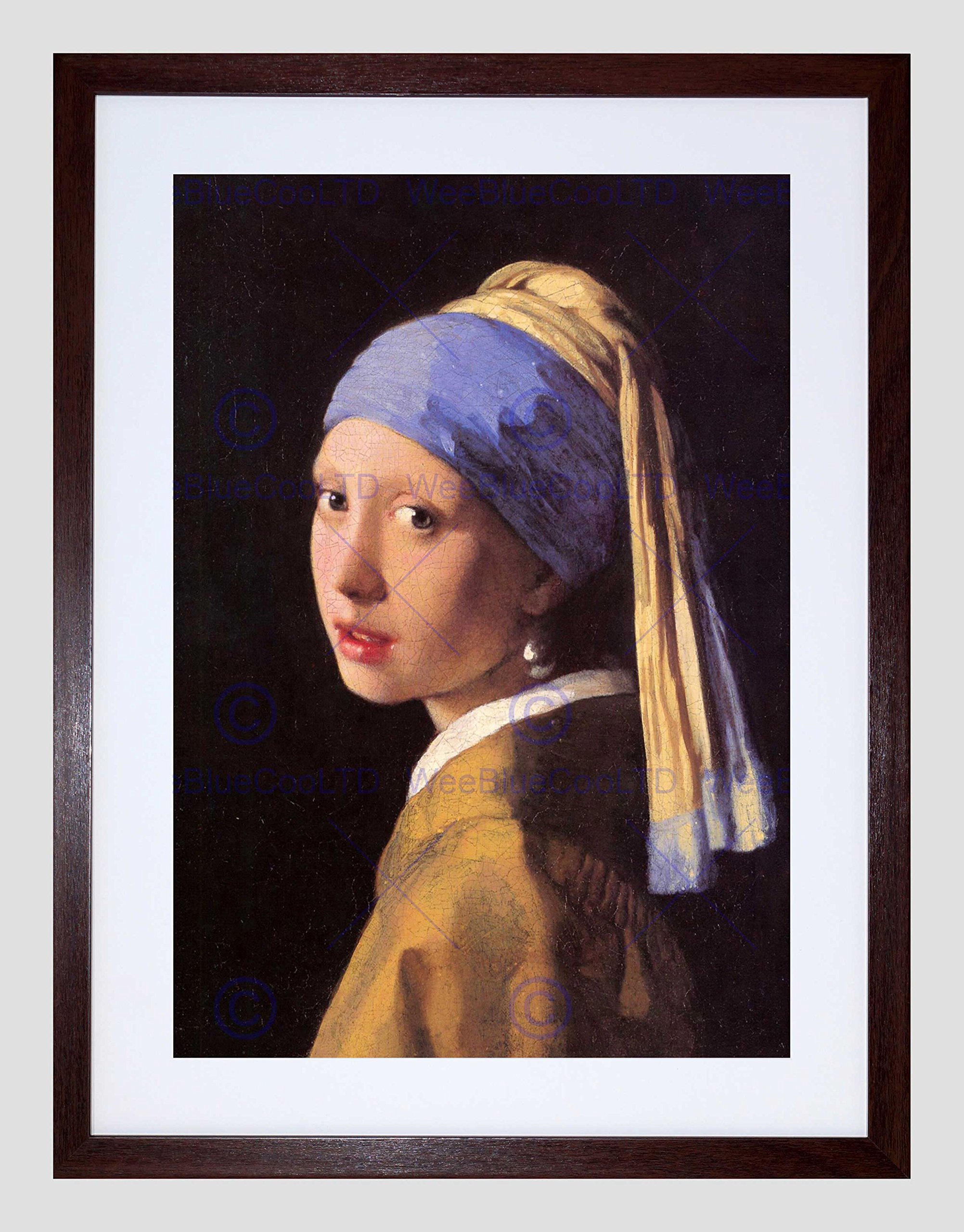 Wee Blue Coo Vermeer Girl With Pearl Earring Old Master Framed Wall Art Print