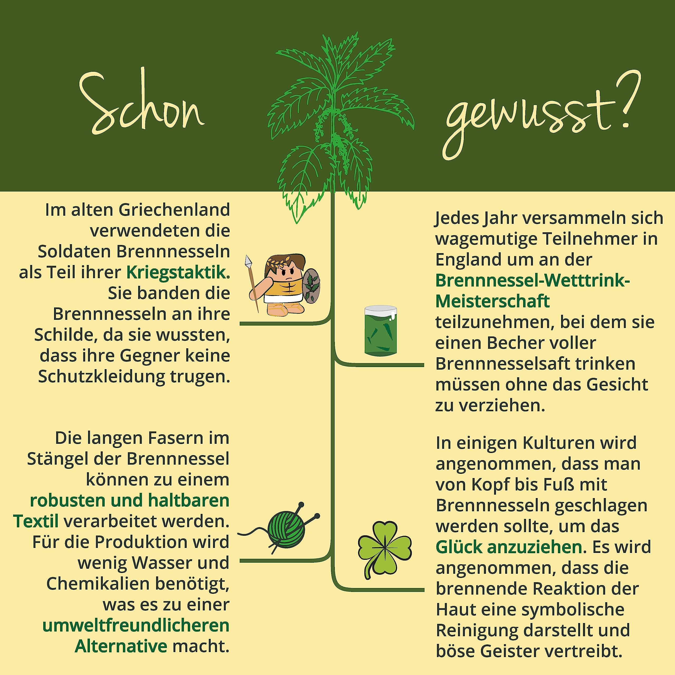 Bio Brennnessel Kapseln hochdosiert | 100% Rohstoffe aus Europa | 900 mg Extrakt aus Wurzel + Blatt | Laborgeprüft | 120 Stück | Vegan und ohne Zusatzstoffe | Deutsche Produktion von Vegavero