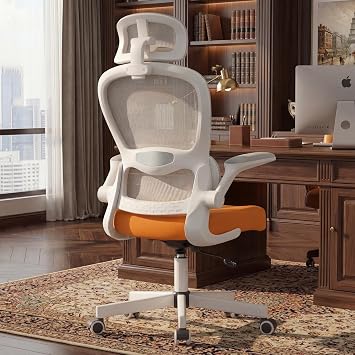 Blisswood Desk Chair, Ergonomic Office Chairs for Home with Lumbar Support, High Back Computer Chairs with Flip-up Armrests, 130  Recline, Adjustable Height Tilt Function for Work Study