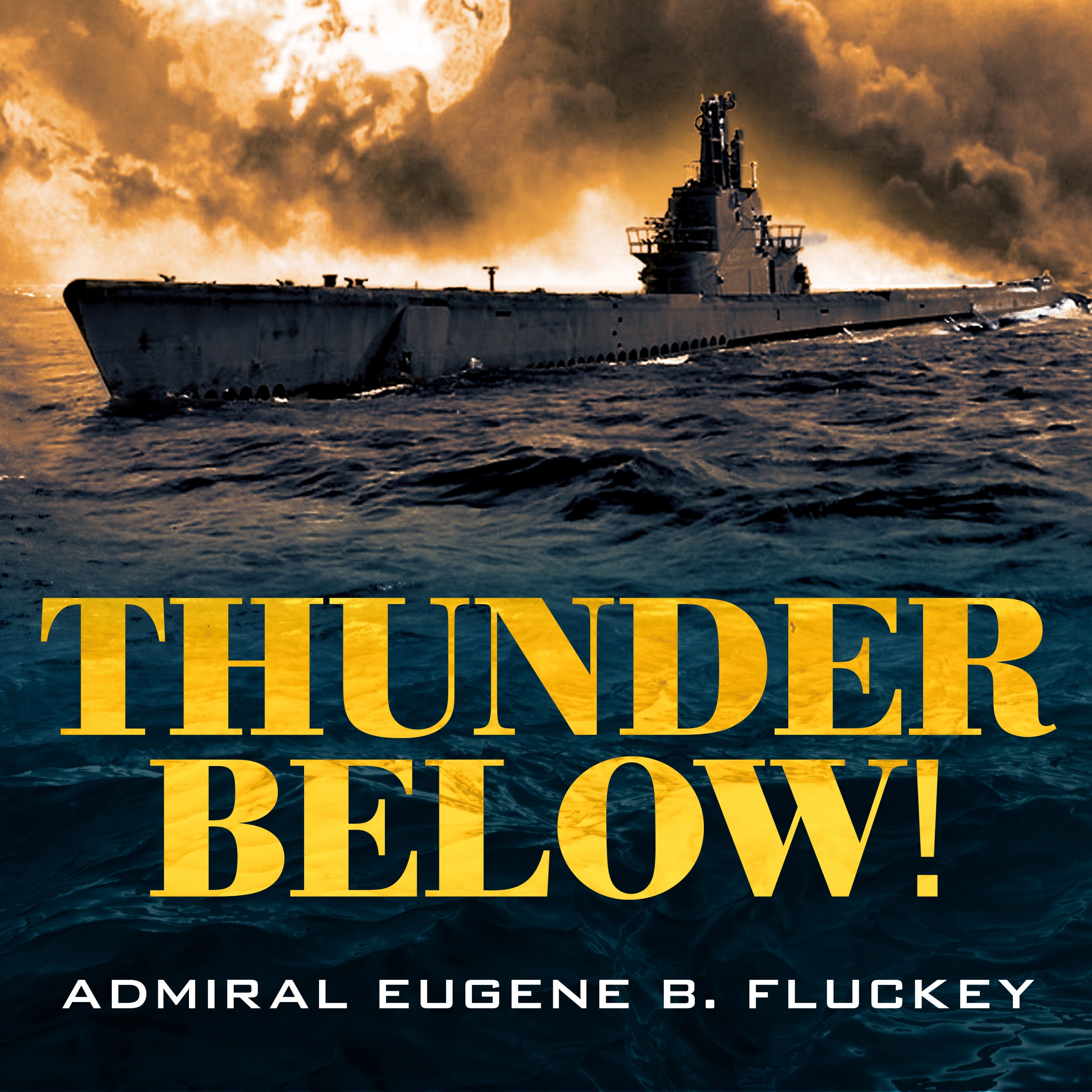Cover art for Thunder Below!