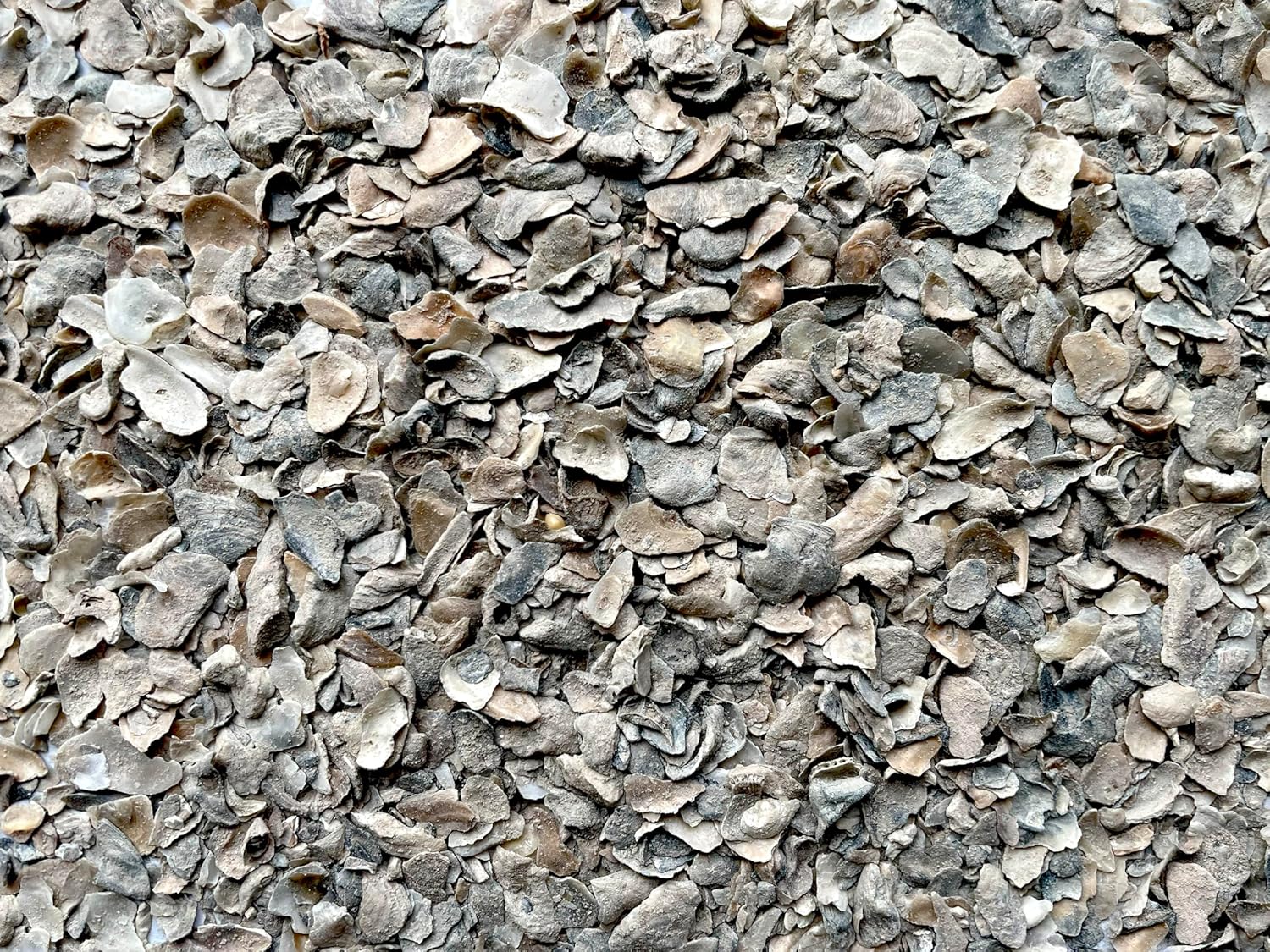 Natural Crushed Oyster Shell for Bocce Ball Court Base Layer, 1/2 Cubic Foot