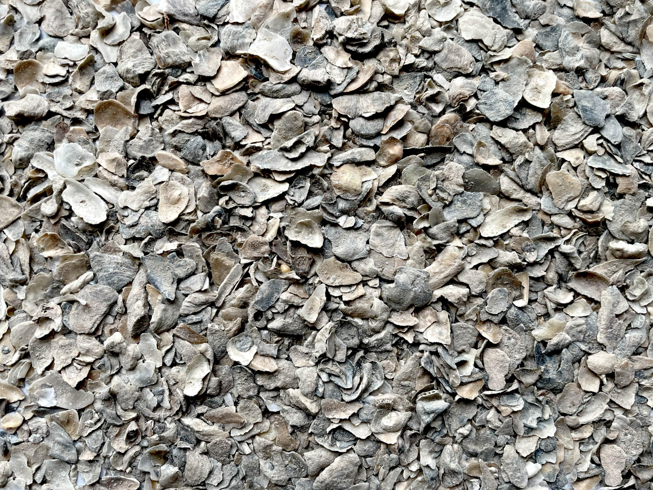 MIGHTY109 Bocce Ball Crushed Oyster Shell, natural