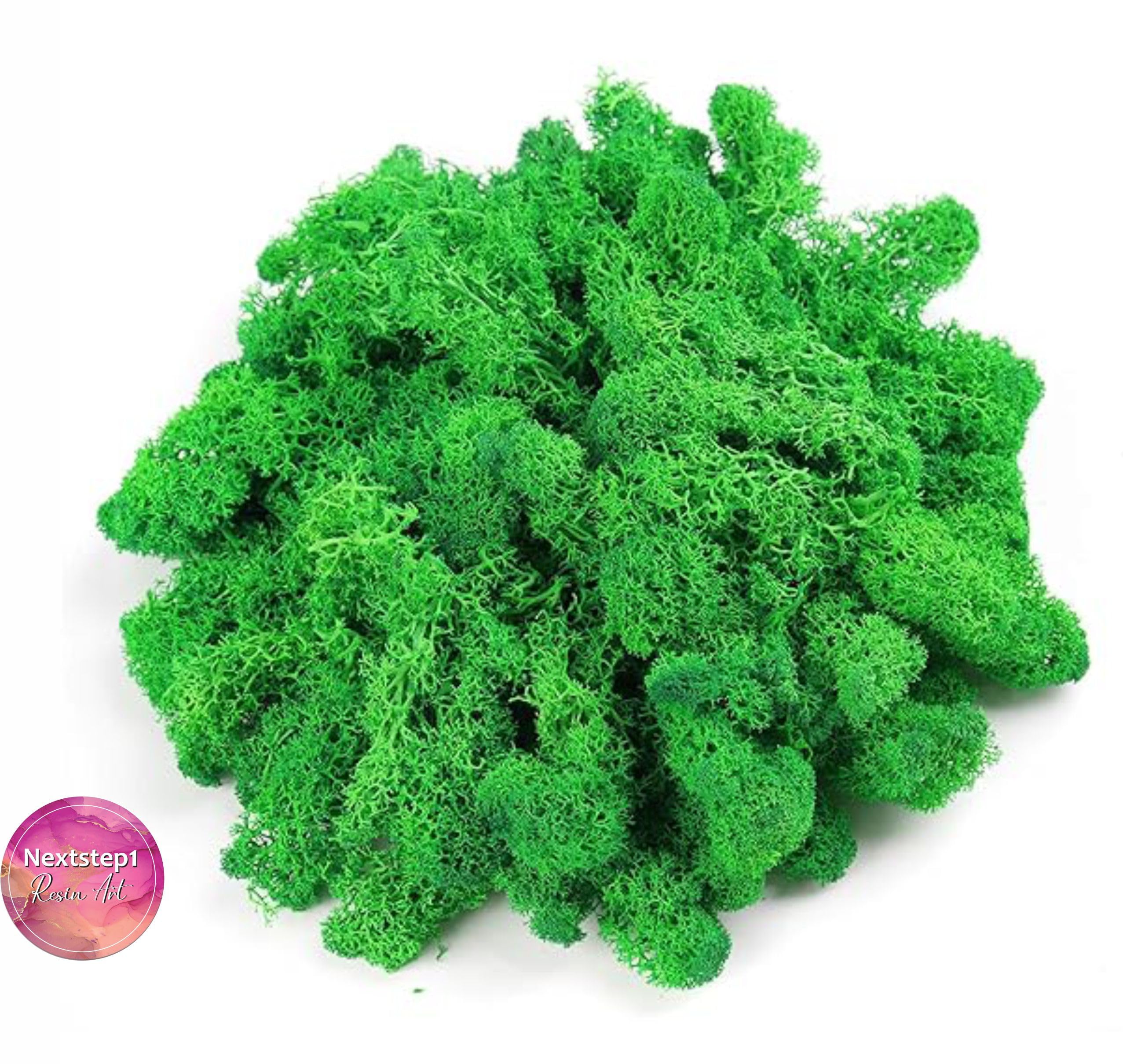 NEXTSTEP1 Java Moss Vesicularia dubyana Aquarium Artificial Plant | Loose Bunch 1 Box, Decoration Purpose & Crafting Arts, Java Moss Replica (B0D5BKJ5W2) Amazon Price History, Amazon Price Tracker
