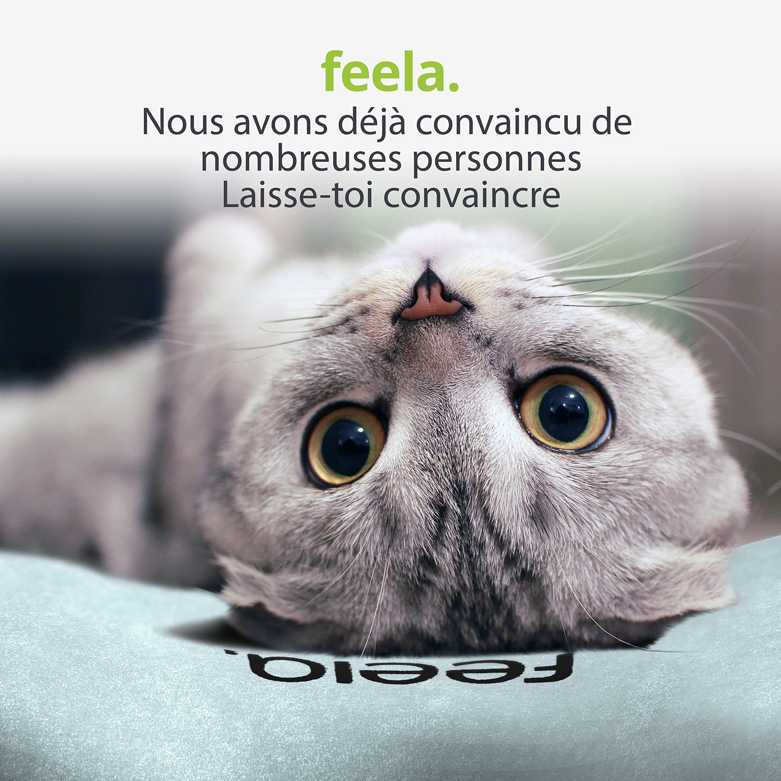 feela.® Coussin de Dossier Ergonomique pour Chaise de Bureau | Coussin Lombaire comme Coussin de Chaise pour la Maison, Le Bureau ou Le Dos dans Le Bureau (Argenté)