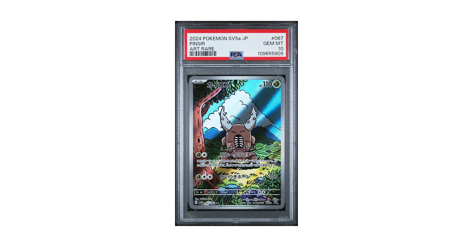 Amazon.com: Pokemon TCG Japanese, PSA Graded 10 GEM Mint