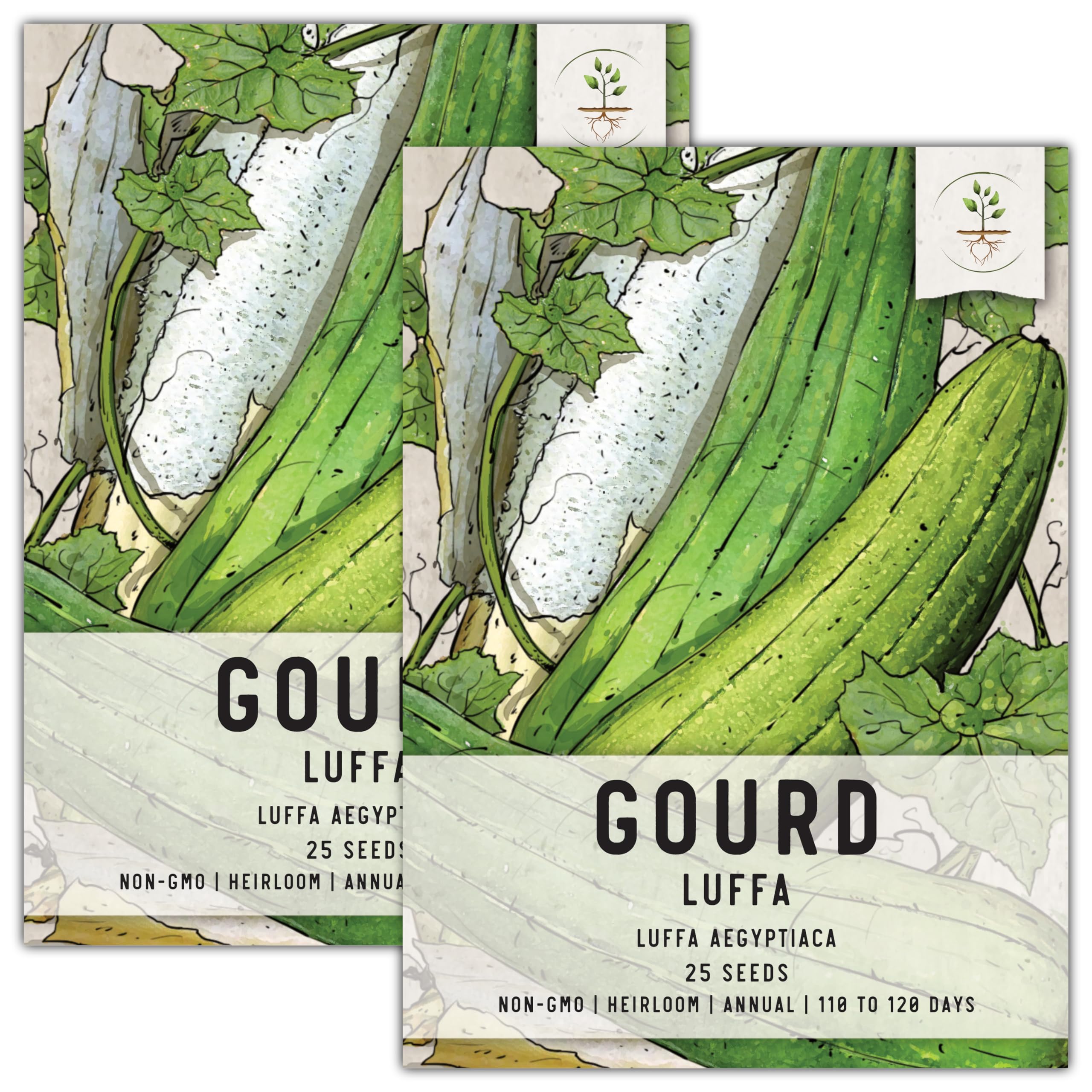 Seed Needs Vegetable Seeds for Planting Luffa Sponge Gourds - Non-GMO Heirloom & Untreated Loofah Veggie Seed to Plant a Home Grown Outdoor Garden (2 Packs)