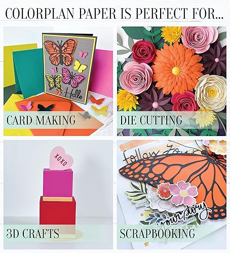 Miniatura 5 de Cardstock Warehouse Colorplan Natural Cream - 8.5 x 11 pulgadas - 100 libras  9.52 ozm de papel de cartulina mate premium - 25 hojas