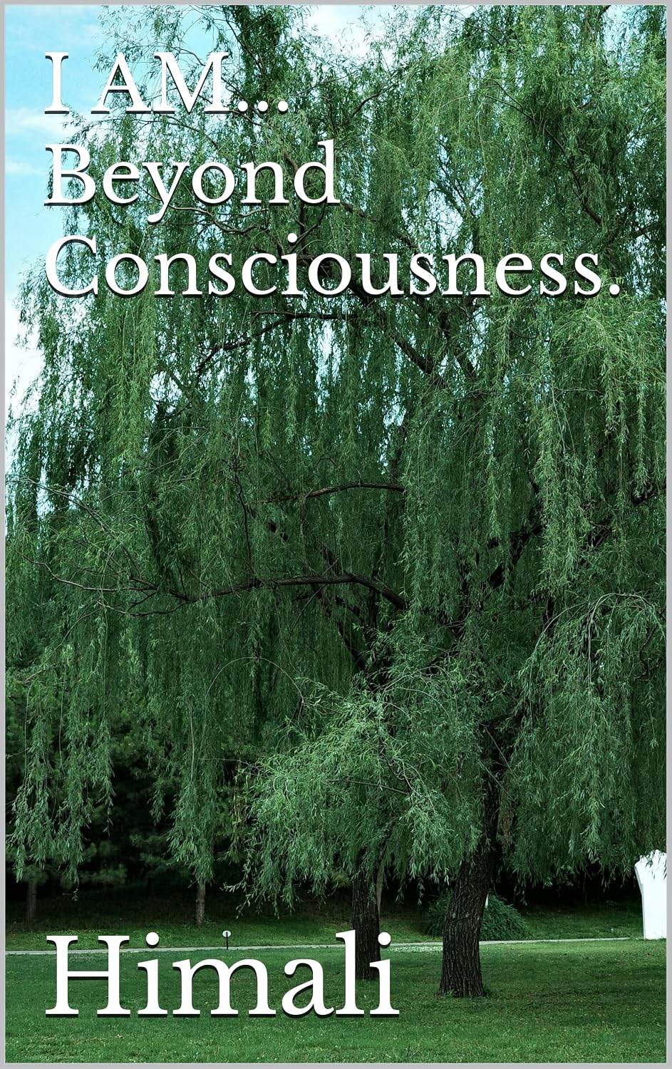 I AM... Beyond Consciousness.