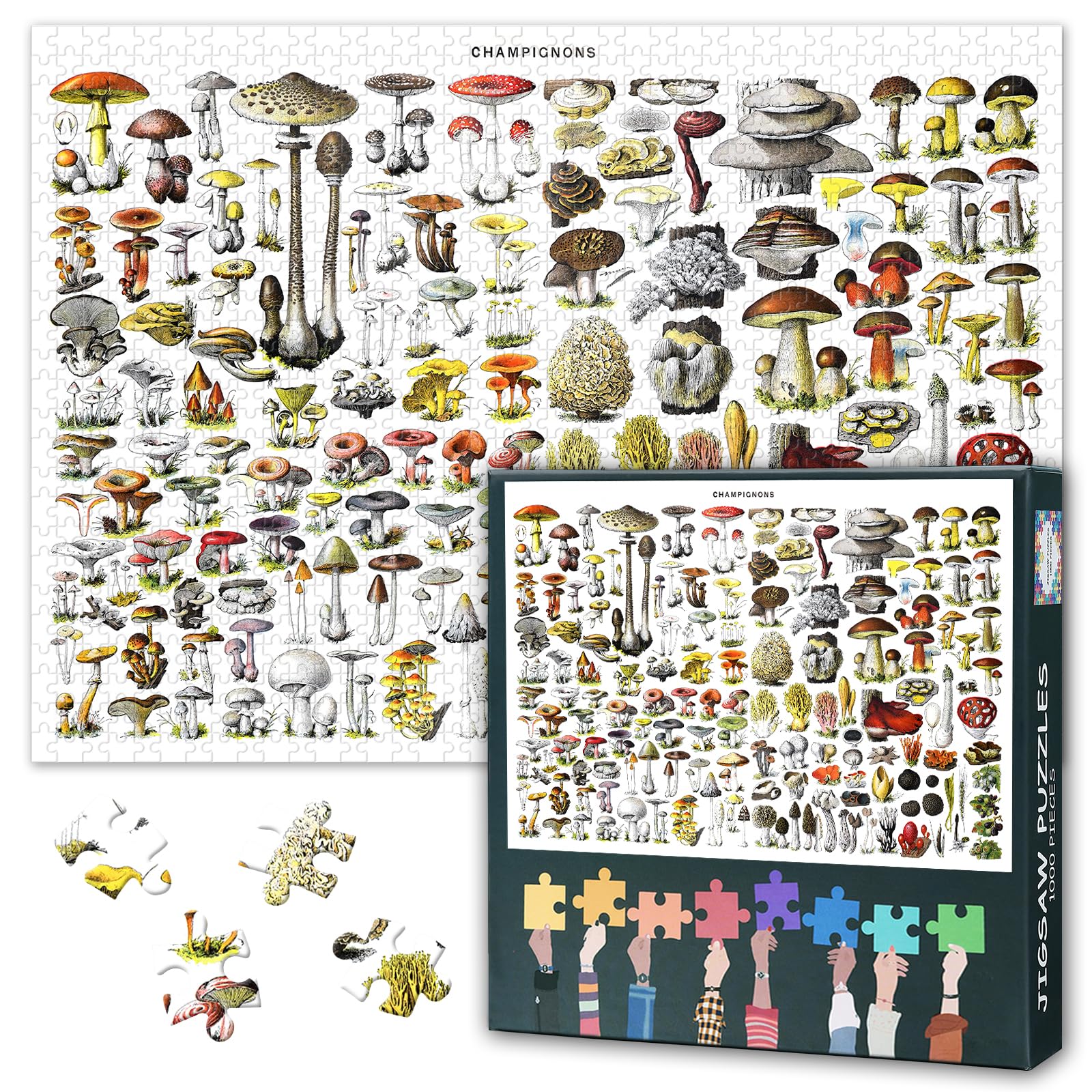 ‌Big Mushroom Jigsaw Puzzle Collection Hand Drawn Autumn Mushroom View 1000 Piece Paper Puzzle for Adults Relaxation Gift Home Decor 27.5x19.7 Inch‌