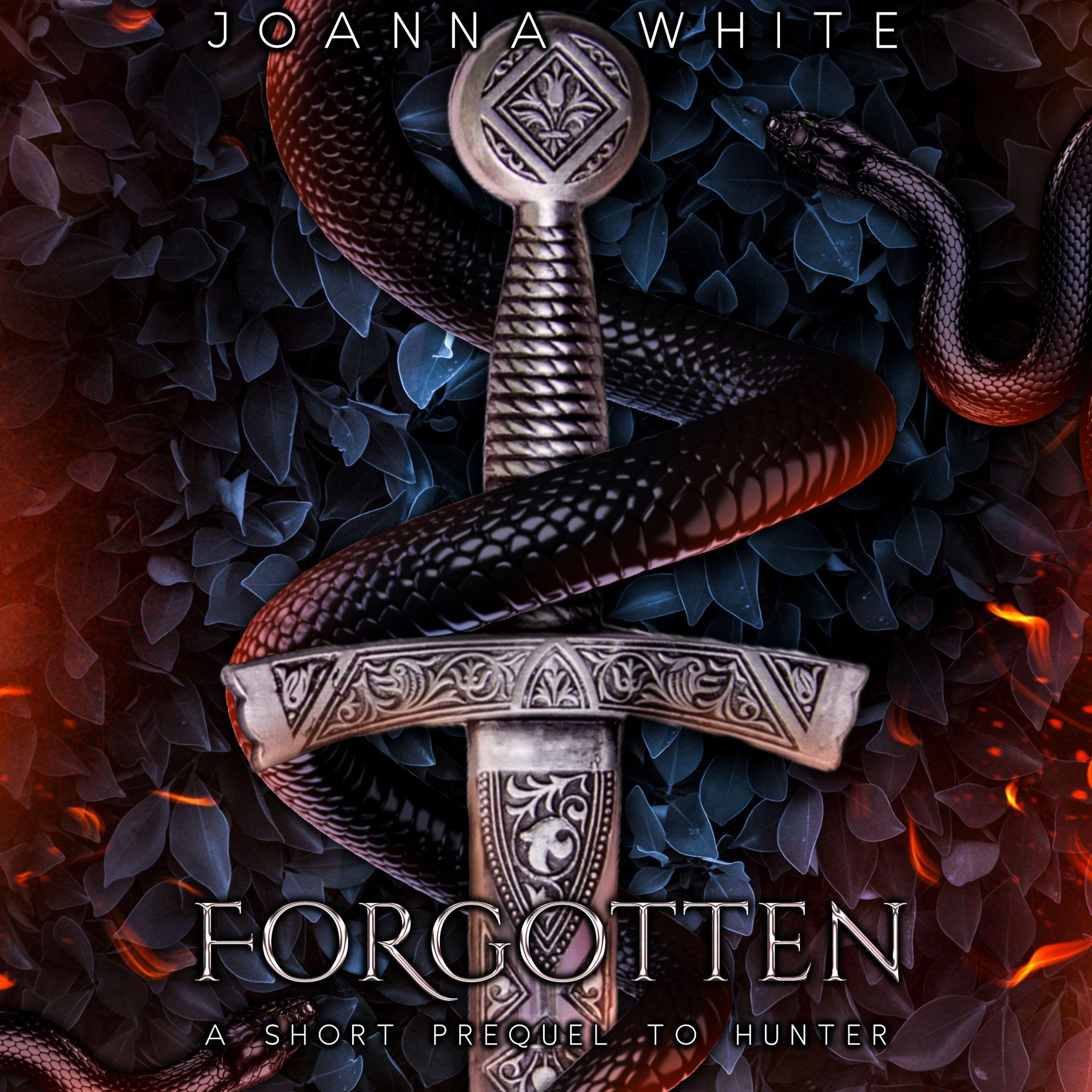 Cover art for Forgotten: A Short Prequel to Hunter (The Valiant Series)