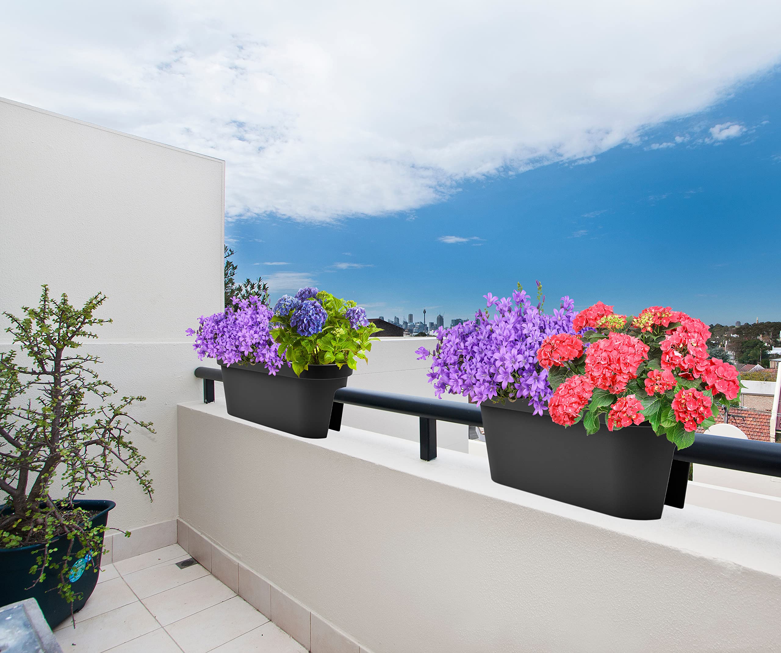Stephans Mbelbrse Balkon Gelnder Blumenkasten, Gelndertopf,  Balkonkasten, Blumentopf, Blumenkbel, Pflanztopf Railing oval 59x26cm  (Schwarz): ...