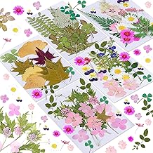 150 Pcs Real Dried Preserved Flowers, Dried Flowers for Resin Molds, Preserved Pressed Flowers, Multiple Colorful Bulk Flowers for Crafts, Dried Flowers for Candle, Soap Making, Nails Decoration