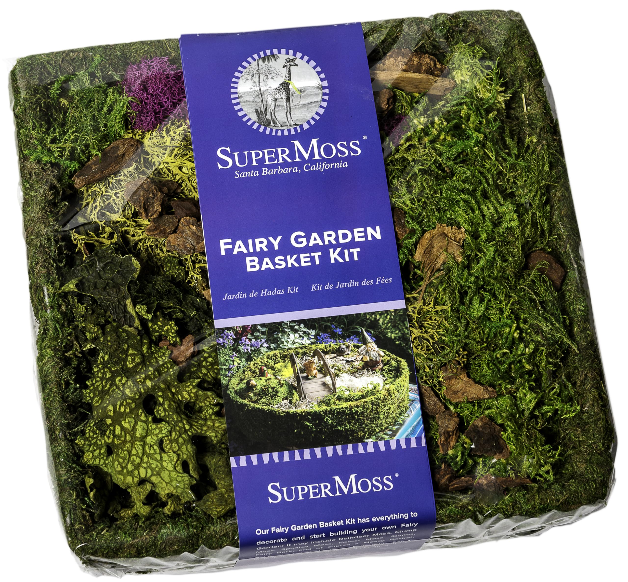 Jardín Hadas Miniatura Kit Cesta Jardín Hadas SuperMoss - Proyecto Natural  Con Niños Decoración Hogar Miniatura, image size:2560x2371