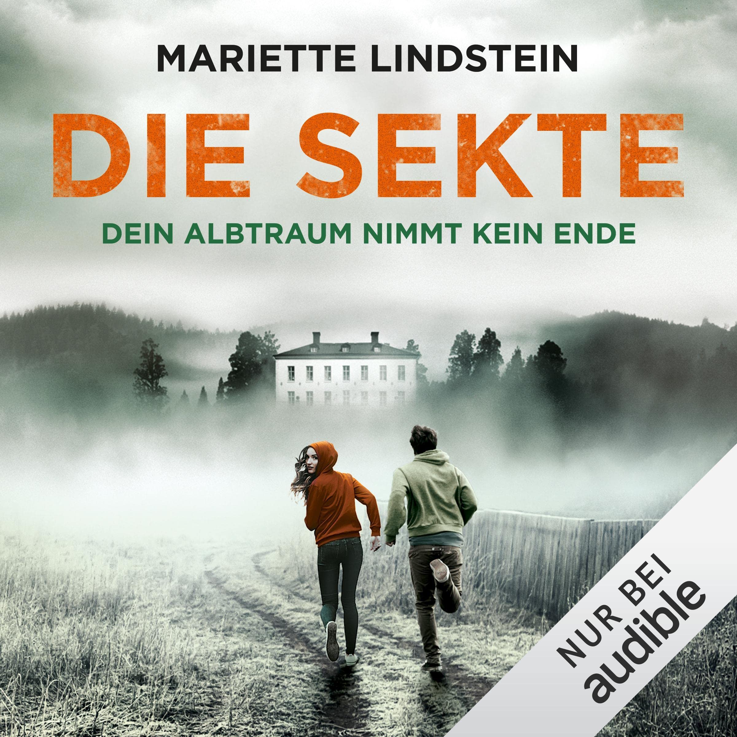 Cover art for Die Sekte - Dein Albtraum nimmt kein Ende