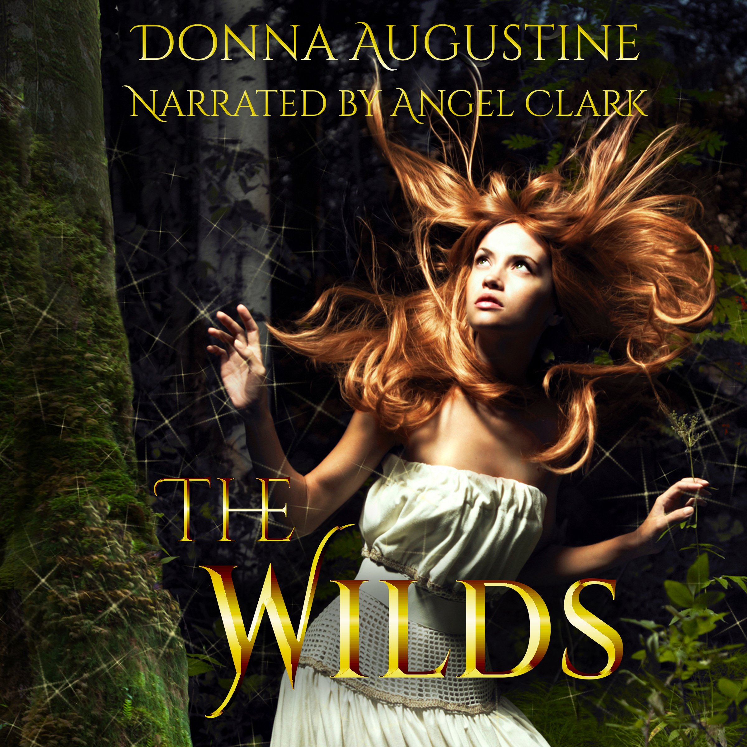 Cover art for The Wilds