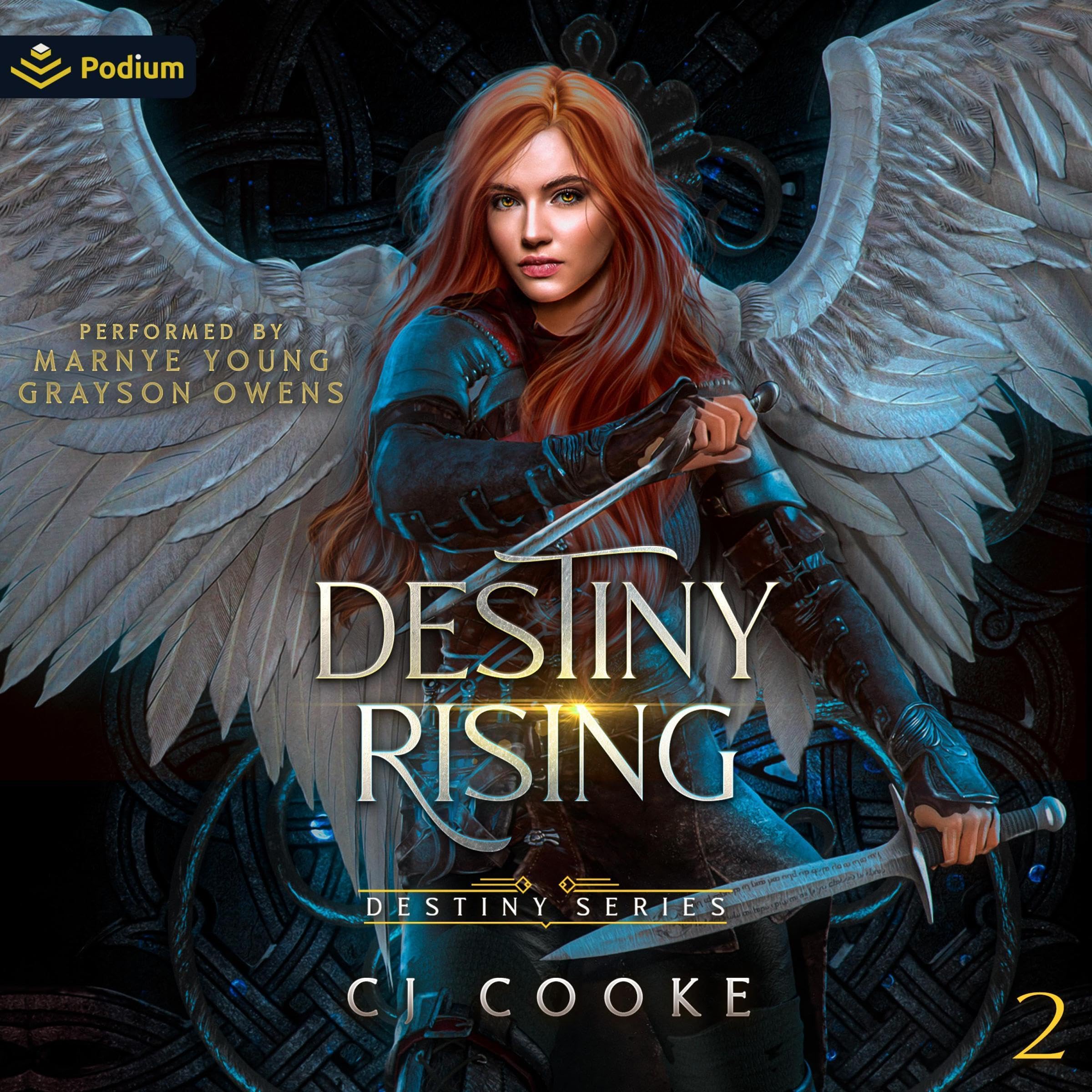 Cover art for Destiny Rising