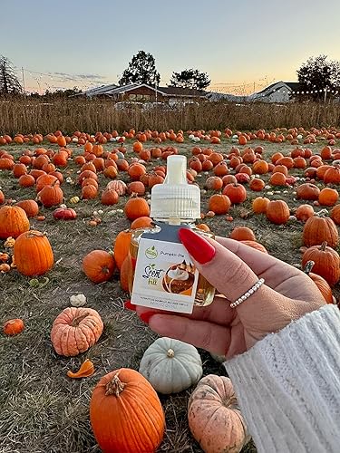 Miniatura 5 de Scent Fill Pumpkin Pie - Ambientador enchufable, recambios de aceite perfumado, 2 recambios + difusor