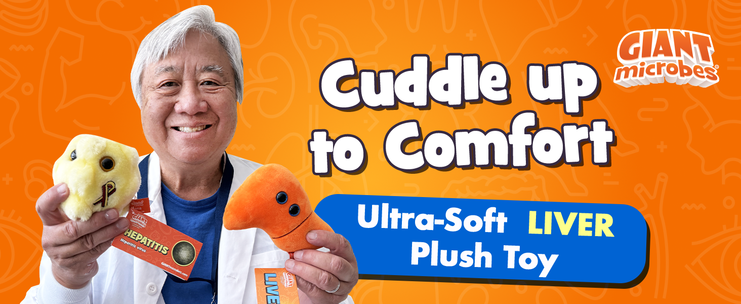 Amazon.com: GIANT MICROBES Liver Plush Keychain – Anatomical Organ