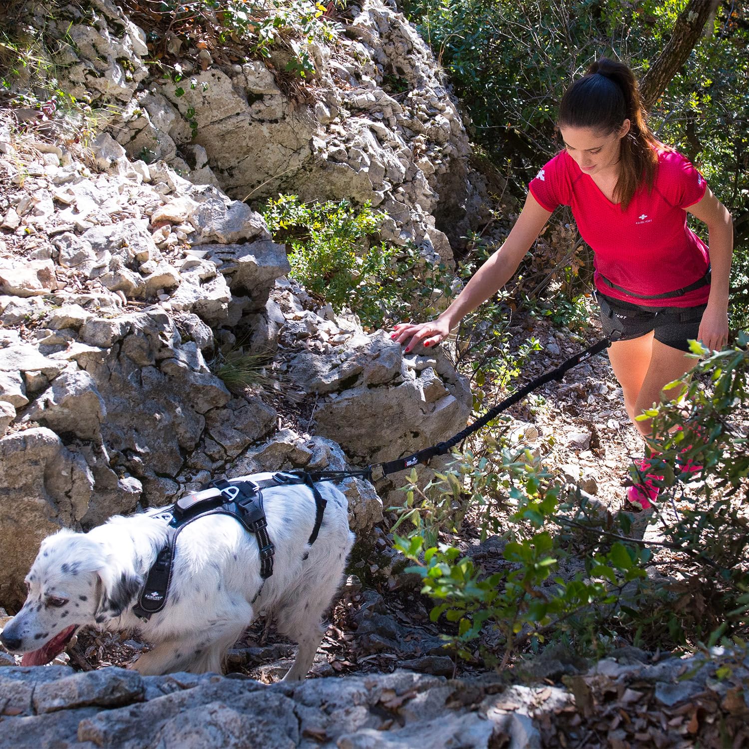 Harnais RAIDLIGHT I-DOG canicross, canirando, canitrail, canijogging, Noir (XS)