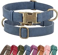 Didog Soft PU Leather Quick Release Dog Collar for Small Dogs - Stylish Adjustable Easy Clean Blue Size S (10-16" Neck)