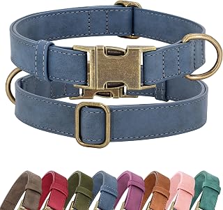 Didog Soft PU Leather Quick Release Dog Collar for Small Dogs - Stylish Adjustable Easy Clean Blue Size S (10-16" Neck)