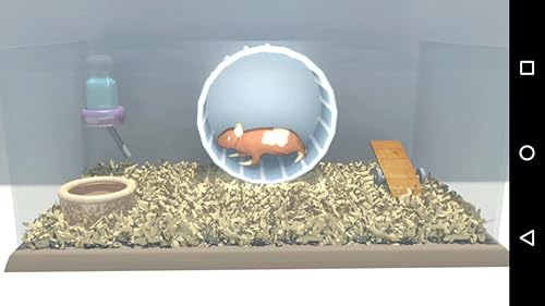 Racionalização Hamster