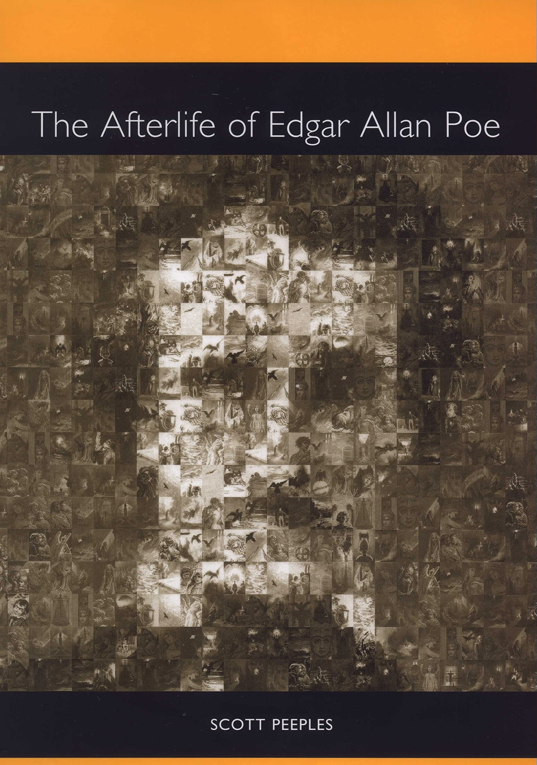 Buy The Afterlife of Edgar Allan Poe (Literary Criticism in Perspective) — BookShops.in