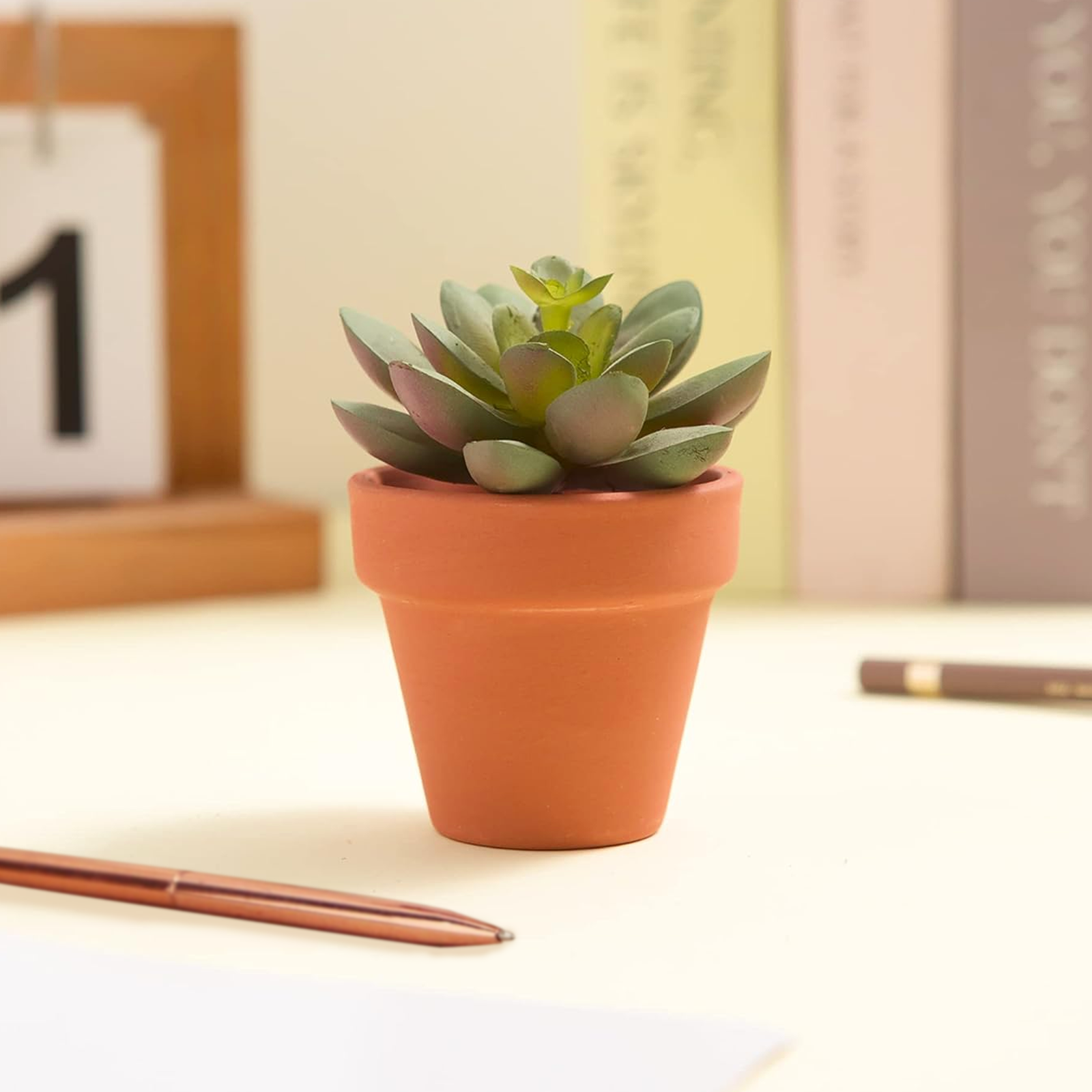 10 pz piccolo vaso di Terracotta argilla ceramica fioriera Cactus vasi