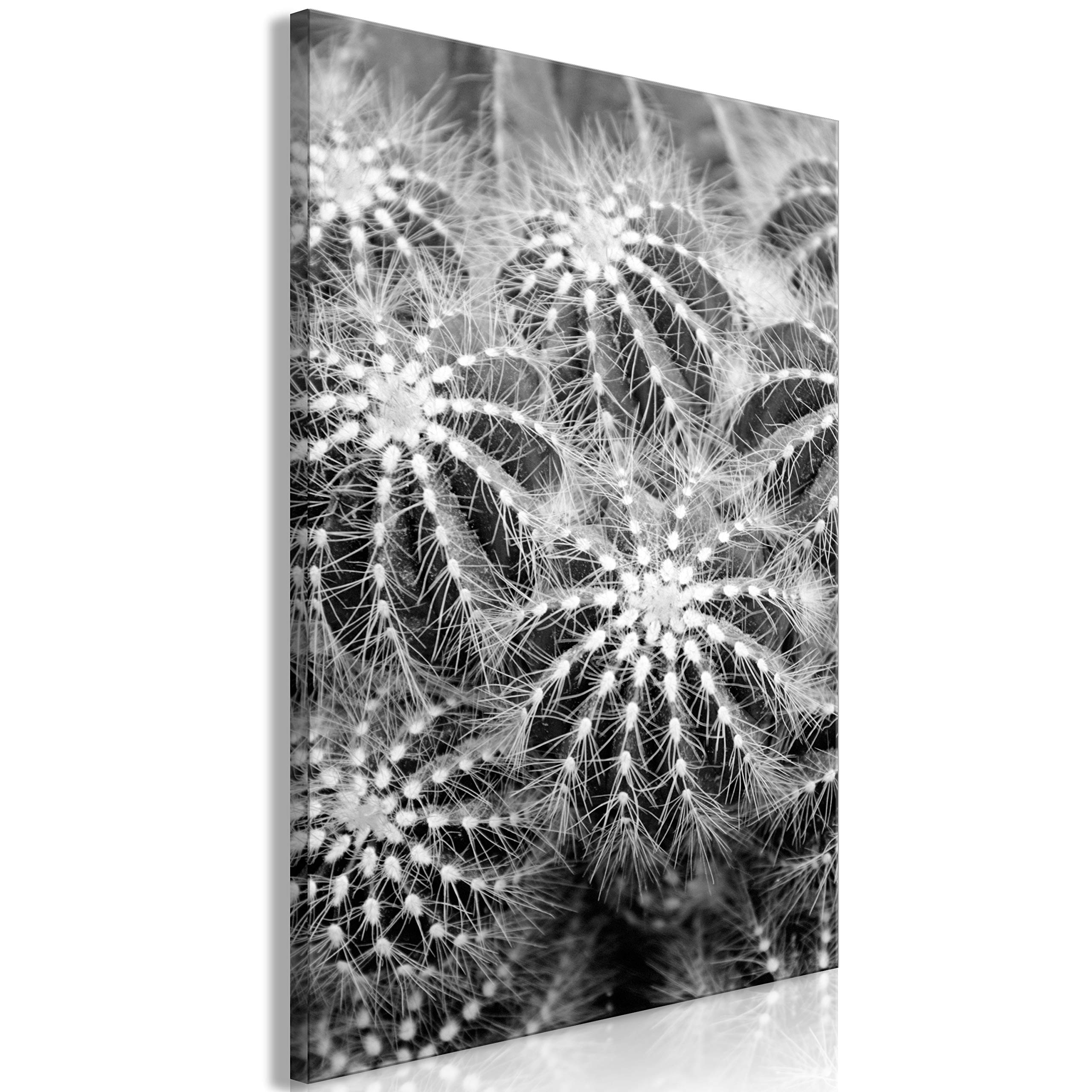 artgeist Acoustic Canvas Wall Art Print Cactus 24x35 in - 1pcs Picture with Acoustic Foam Sound Print Artwork Room Acoustics Soundproofing b-B-0377-b-a